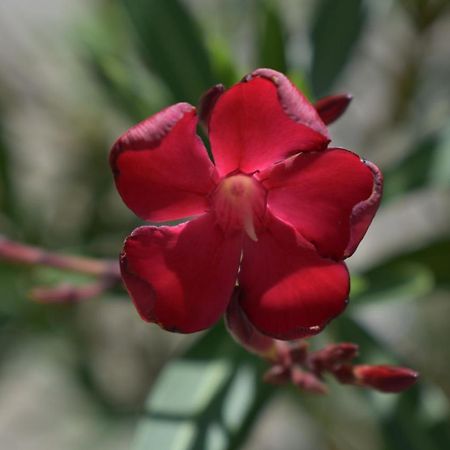 Palmengarten Finning 외부 사진